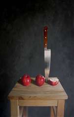 Still Life with Knife Painting